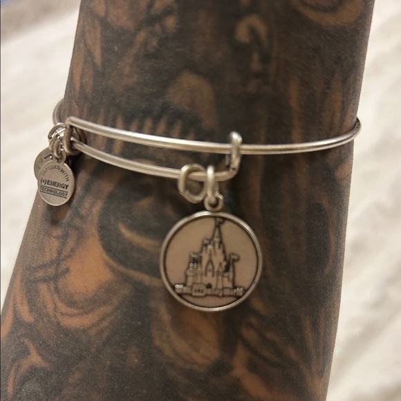 RARE Alex and Ani Walt Disney World Bracelet - Picture 10 of 13